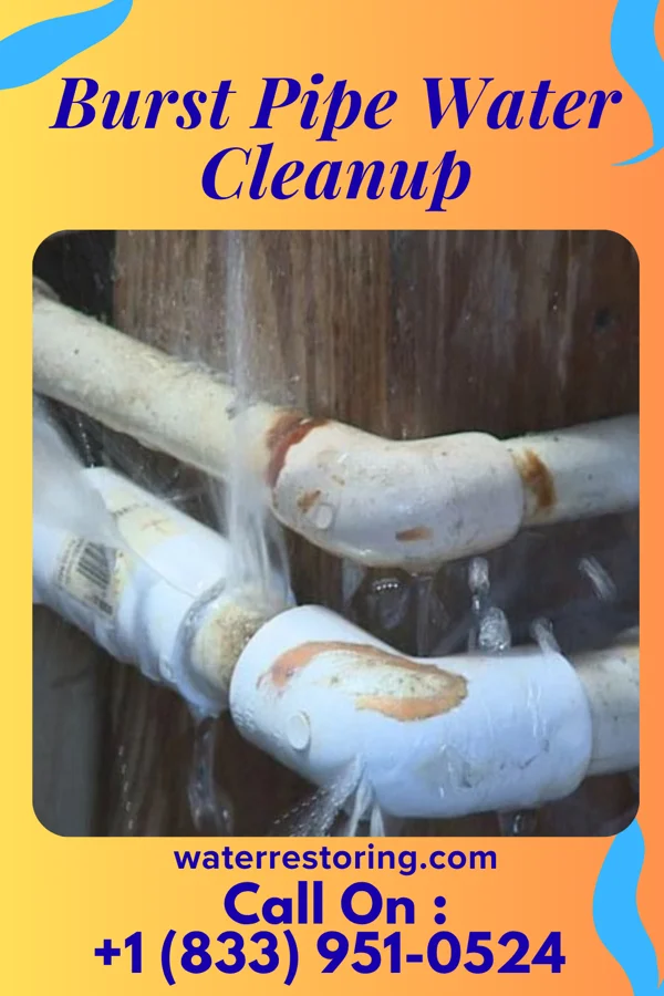 Burst Pipe Water Cleanup in Wurtsboro, NY
